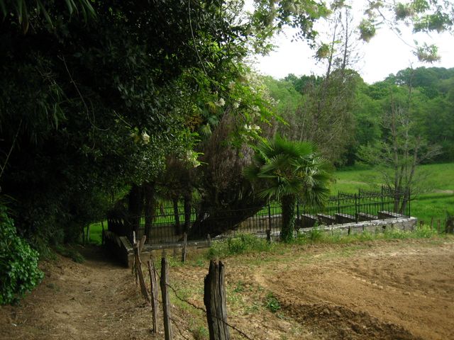 	Al final del camino, nos encontramos con una cerca de piedra, coronada por una verja de hierros puntiagudos que intimidan, gracias a su terminación en forma de caballo de Frisia, a cualquier visitante que tenga intenciones de saltarla.